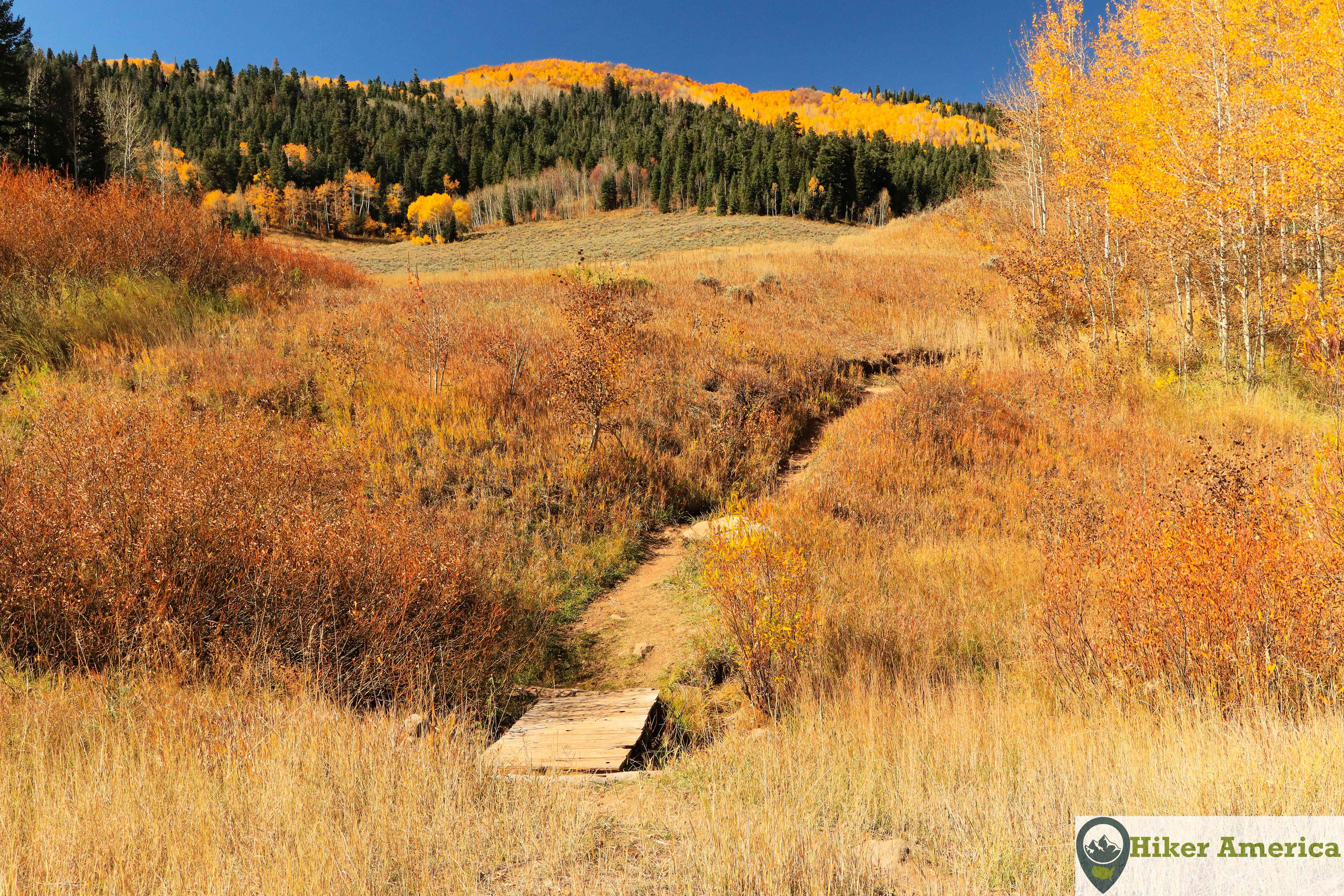 A small bridge on the spur to the South Fork Little Deer Creek Trail.